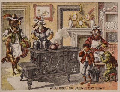 Que dit M. Darwin maintenant ? Carte publicitaire américaine pour les cuisinières Leader fabriquées par Eddy, Corse & Co, Troy, New York - American School
